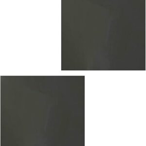 2-Piece 10x10cm Polarized Film Sheets