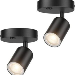 2-Pack Dimmable Adjustable LED Spot Lights