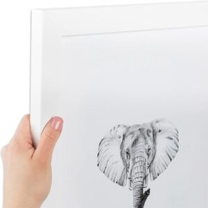 ArtToFrames 40×60 CM White Picture Frame