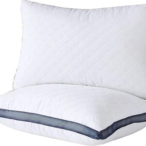 Meoflaw Queen Size Sleeping Pillows (2-Pack)