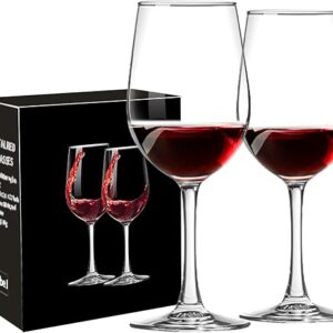 Set of 2 Long Stem Wine Glasses