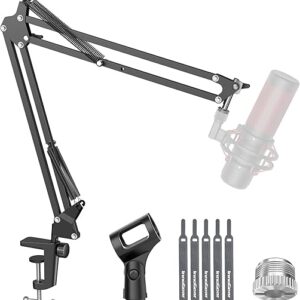 InnoGear Boom Arm Microphone Stand