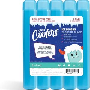 Fit & Fresh 5-Pack Ice Blocks