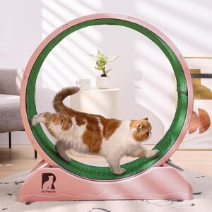 31.5 Inch Cat Exercise Wheel Treadmill