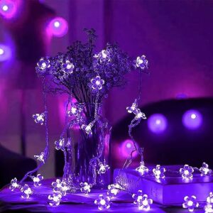 LIGHTOP 30LED Cherry Blossom String Lights