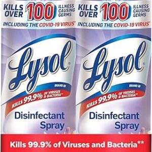 Lysol Disinfectant Spray, Early Morning Breeze