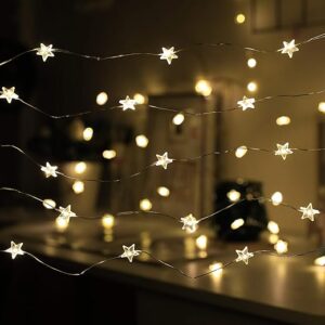 Twinkle Star 40 LED String Lights with Remote