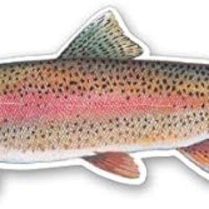 GT Graphics Express Rainbow Trout Fish – Vinyl Sticker Waterproof Decal