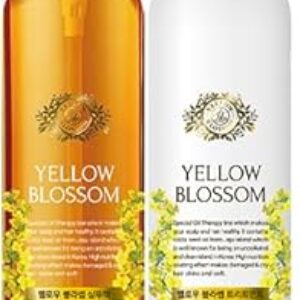 Daeng Gi Meo Ri Yellow Blossom Hair Set
