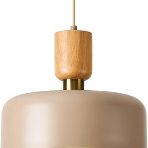 TeHenoo Contemporary Pendant Lights with Wood Cap, Brass Accent, 12 inch Light Brown Metal Shade,for Kitchen, Dining Room, Cafe