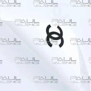 PAUL VALENCE 20-Sheet Flower Wrapping Paper, Floral Waterproof Bouquet Wrapping Paper for Flowers, DIY Craft, (CHANEL WHITE AND BLACK)