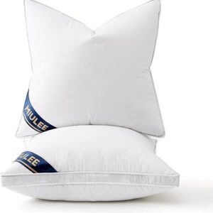 MIULEE 20×20 Feather Down Pillow Inserts with Gusset Bed Pillows,Set of 2 Luxury Fluffy Decorative Throw Pillows for Couch Sofa