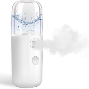 GIVERARE Nano Facial Steamer, Handy Mini Mister, USB Rechargeable Mist Sprayer, 30ml Visual Water Tank Moisturizing&Hydrating for Face, Dai…