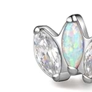 Limerencia Hypoallergenic G23 Pure Titanium Earrings | Crown Cubic Zirconia | F136 Implant Grade Piercing Studs| Suitable for Sensitive Ear…