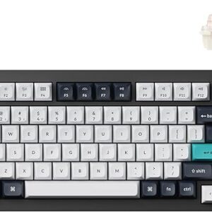 Keychron Q1 Max RGB QMK/VIA Custom Mechanical Keyboard, Hot-Swappable Full Metal Programmable Knob with Gateron Jupiter Brown Switch, 2.4 GH…
