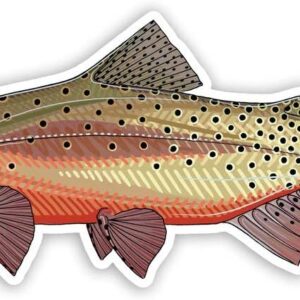 Casey Underwood Greenback Cutthroat Trout Decal Sticker