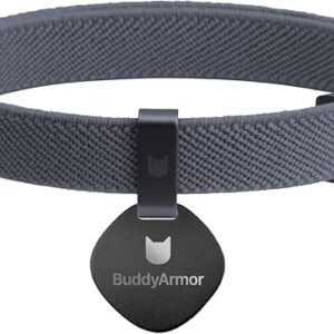 Personalized Safety Cat Collar & ID Tag