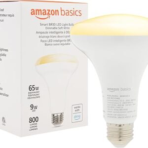 Amazon Basics Dimmable BR30 LED Light Bulb