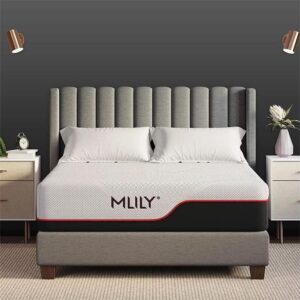 MLILY 12″ Queen Memory Foam Mattress