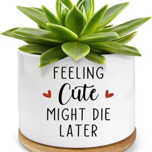 Feeling Cute Might Die Later Pot- Ceramic Engraved Succulent Aloe Cactus Planter Pot, Funny Indoor Plant Pots with Bamboo Tray for Mom Grand…