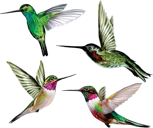 4 x Hummingbird Window Clings for Glass Safety on Doors, Windows and Glass Panels - Window Decals to Prevent Bird Strikes on Glass. Reusabl...