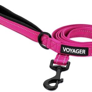 Voyager Reflective Dog Leash – Fuchsia, 5ft