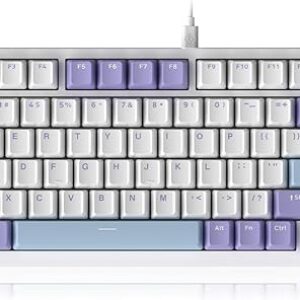 DAIDAI×AJAZZ AK820 Wired Mechanical Keyboard