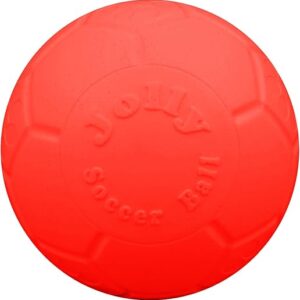 Jolly Pets Soccer Ball Dog Toy 6in