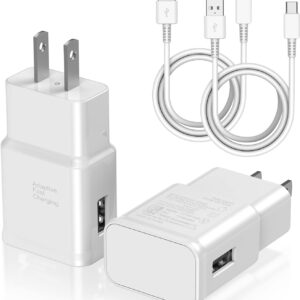Type C Fast Charging Wall Charger 2-Pack