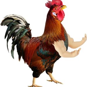 Chicken Arms for Hens – Fun, Durable, Artificial Muscle Arms Toy – Perfect for Parties, Photoshoots and Pranks