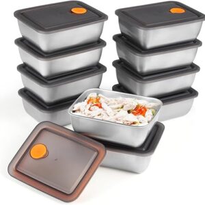 10 Pcs 20 oz Stainless Steel Food Containers