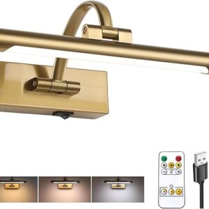 Rechargeable Picture Light with Remote Control,12 Inch Brass Finish Adjustable Wireless Art Lighting Fixture,Painting Lights with Timer,3 C…