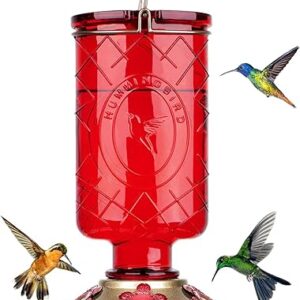 BOLITE Hummingbird Feeder, Glass Hummingbird Feeders for Outdoors Hanging, Five Feeding Ports, 22 Ounces, Red Bottle
