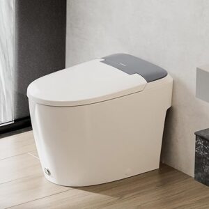 CASTA DIVA Non-electric Smart Bidet Toilet