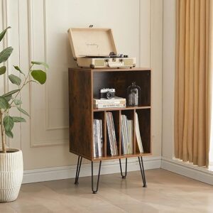 Vinyl Record Player Stand with Storage