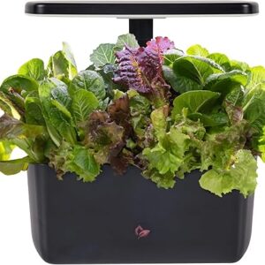 AeroGarden Harvest 2.0 Hydroponic System
