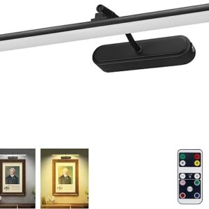 Picture Light,3AA Battery Wall Lights,Wireless Art Lights for Paintings,Remote Control Accent Light with Timer and Dimmable for Frame,Portr…