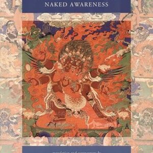 Self-Liberation through Seeing with Naked Awareness