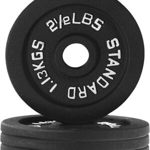 1-Inch Standard Cast Iron Weight Plate for Strength Training & Weightlifting, Multiple Sizes
