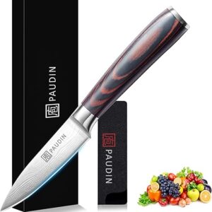 PAUDIN Paring Knife, 3.5 Inch Fruit Knife, High Carbon 5Cr15Mov Stainless Steel Forged Paring Knife, Ultra Sharp Small Kitchen Knife, Ergon…