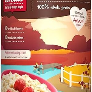 Mom’s Best Old Fashioned Oats, Hot Cereal Made with Whole Grain Oats, 42 OZ Canister