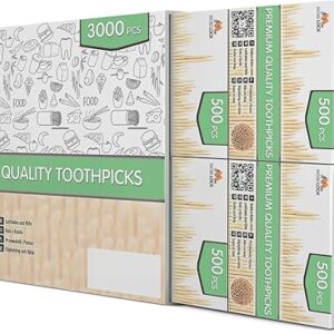 3000 Pcs Bamboo Toothpicks – Double Pointed Wooden Toothpicks – For Personal Hygiene, Appetizer Skewers, Cocktail Sticks, Toothpick or Arts…