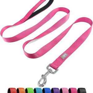 6 FT Padded Nylon Dog Leash – Hot Pink