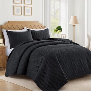 Lavsiry Black Quilt Queen Size with Striped Pattern, Lightweight Soft Summer Thin Microfiber Bedspread & Coverlet Bedding Set for All Seaso…