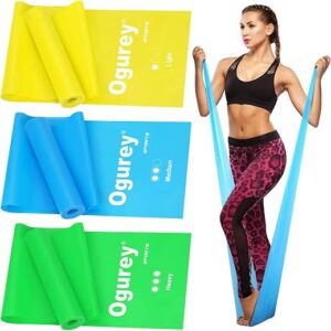 Resistance Bands, Professional Exercise Bands, Physical Therapy Bands for Strength Training, Yoga, Pilates, Stretching, Recovery, Stretch Elastic …