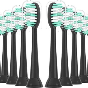 10 Pack Replacement Heads for AquaSonic