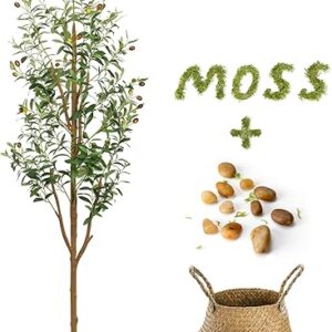 6FT Artificial Olive Tree – Indoor Tall Faux Olive Trees with Planter&Basket, Large Fake Olive Silk Tree Realistic Olive Plants with Branch…