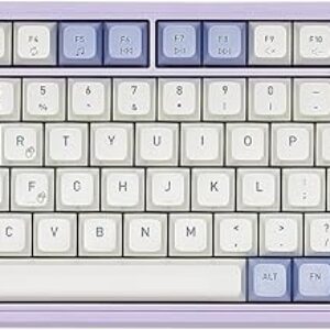 Hexgears Purple Rain M2 Wired TKL Mechanical Gaming Keyboard, Pre-Lubed Linear Switches, Double-Shot PBT & ABS Keycaps, 83-Key Hot-Swappable…