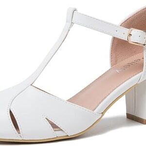 Chunky Block Heel T Strap Mary Janes