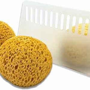 Knockdown Texture Sponge, 3 Pack Drywall Texture Patch Sponge, Ceiling Texture Sponge for Drywall Patch, Drywall Repair, DIY Painting Ceili…